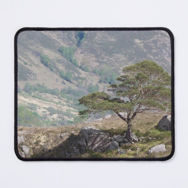 Item preview, Lone Pine Tree by Loch Maree designed and sold by Pebbles on the Beach.
