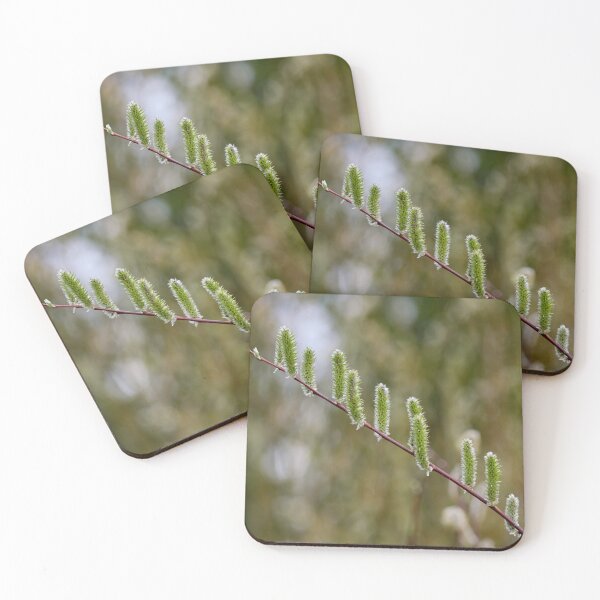 Item preview, Flowers of the willow and a spider designed and sold by Jouko Lehto Photography.