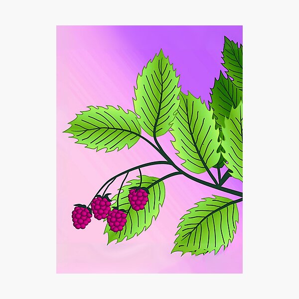 Item preview, Raspberries on a Branch at Dawn designed and sold by Marymarice.