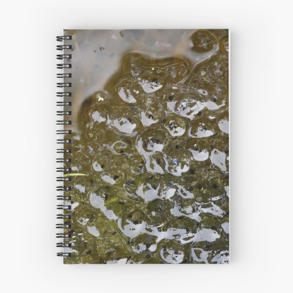 Item preview, Brown Frog spawn. European brown frog designed and sold by Jouko Lehto Photography.