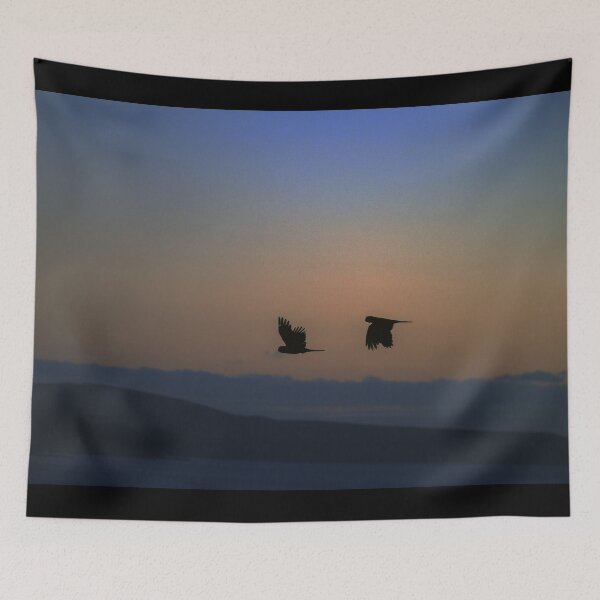 Item preview, Yellow-tailed Black Cockatoos - Normanville, South Australia designed and sold by imaginethis.