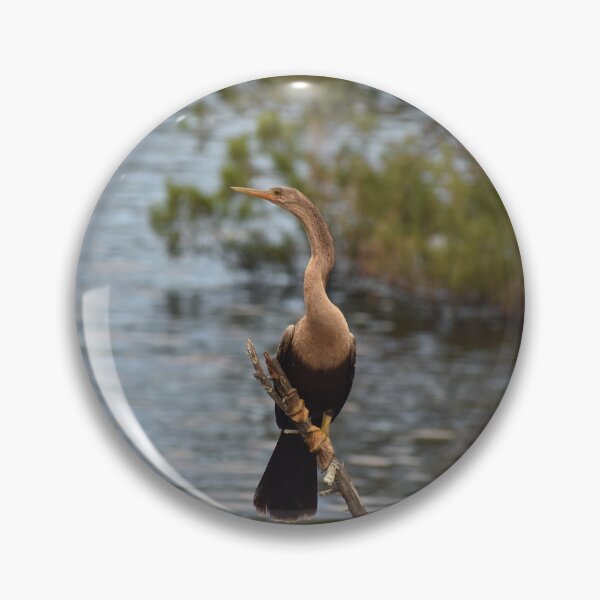 Item preview, Anhinga designed and sold by litnaturalists.