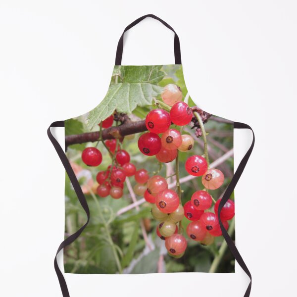 Item preview, Redcurrant designed and sold by Alexander Krishchyunas.