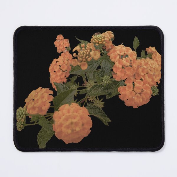 Item preview, Elegant beauty orange flowers art print designed and sold by DFLC Prints.