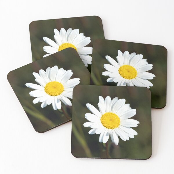 Item preview, Oxeye Daisy  Leucanthemum-vulgare designed and sold by Dorset Girl.