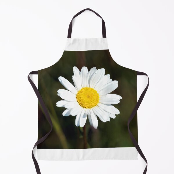 Item preview, Oxeye Daisy Leucanthemum-vulgare designed and sold by Dorset Girl.