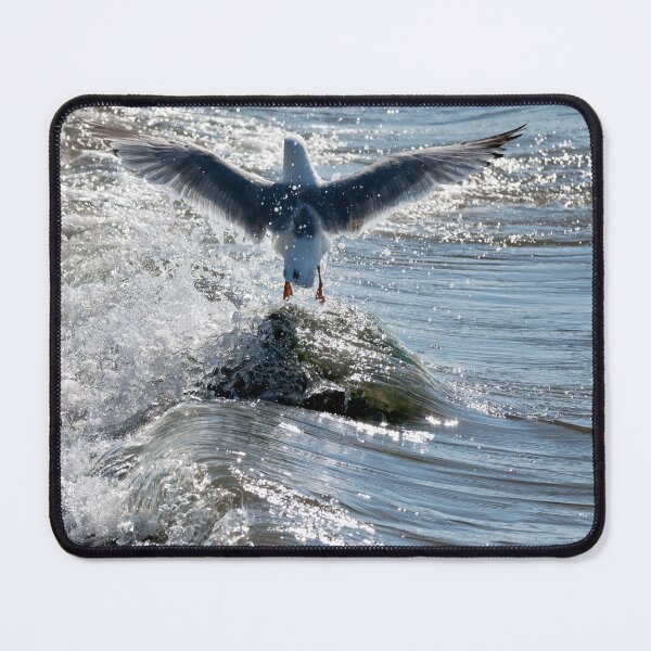 Item preview, Herring Gull Splashed by Incoming Tide designed and sold by Dorset Girl.