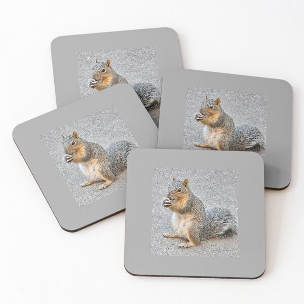 Item preview, Munching Squirrel designed and sold by SMILE by Kira.
