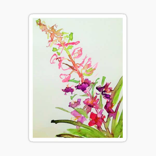 Rosebay Willowherb Sticker