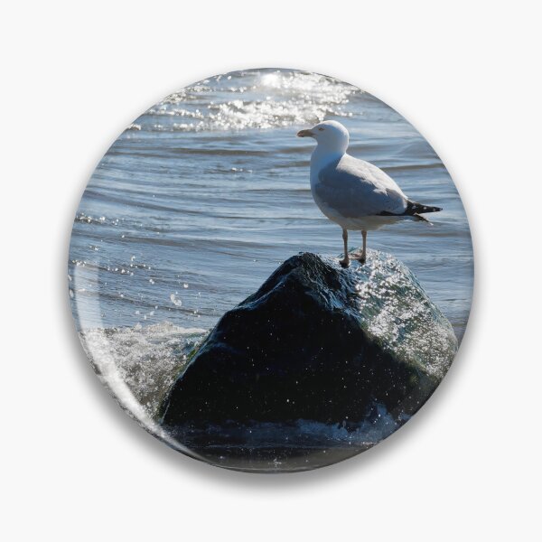 Item preview,  Herring Gull Perched On A Rock designed and sold by Dorset Girl.