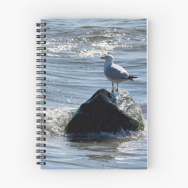 Item preview,  Herring Gull Perched On A Rock designed and sold by Dorset Girl.