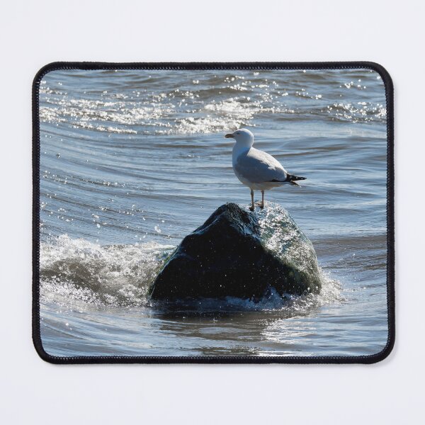 Item preview, Herring Gull Perched On A Rock designed and sold by Dorset Girl.