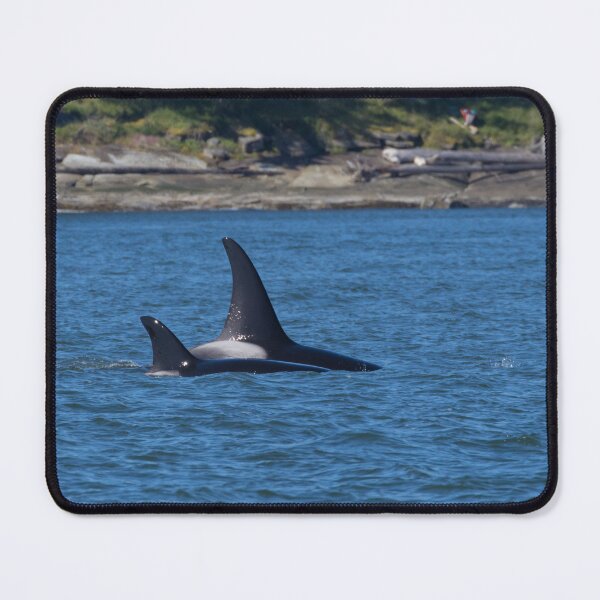 Item preview, Orca designed and sold by LaurenTucker.