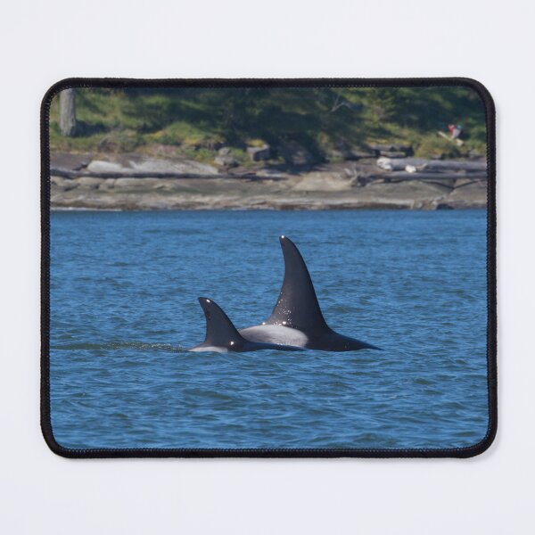 Item preview, Orca designed and sold by LaurenTucker.