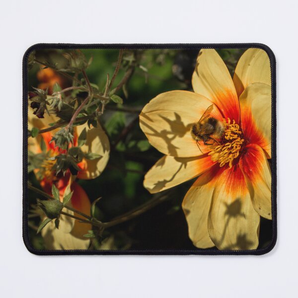 Item preview, Pollination Time designed and sold by axp7884.