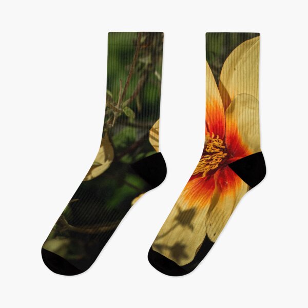 Item preview, Pollination Time designed and sold by axp7884.