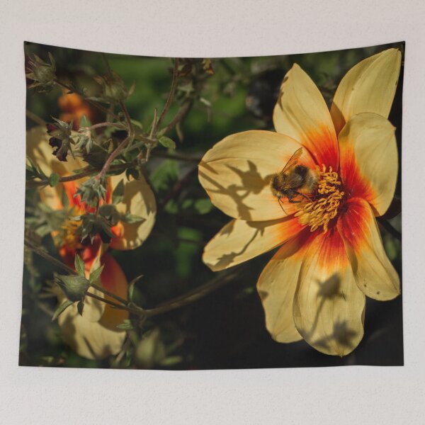 Item preview, Pollination Time designed and sold by axp7884.