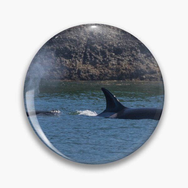 Item preview, Orca designed and sold by LaurenTucker.