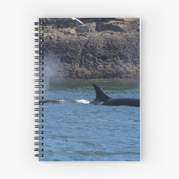Item preview, Orca designed and sold by LaurenTucker.
