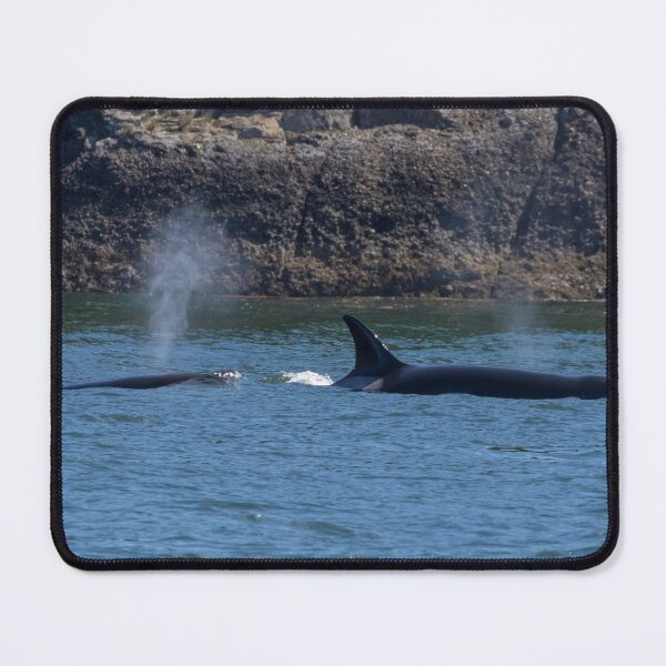 Item preview, Orca designed and sold by LaurenTucker.