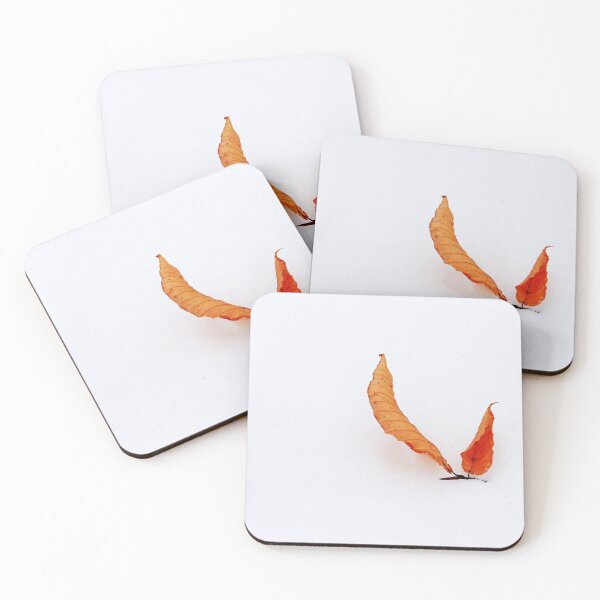 Item preview, Beech Leaves Dressed In Snow designed and sold by Deb Oppermann.