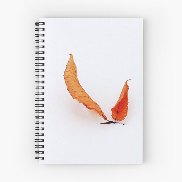 Item preview, Beech Leaves Dressed In Snow designed and sold by Deb Oppermann.