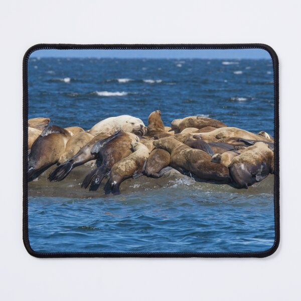 Item preview, Stella Sea Lion designed and sold by LaurenTucker.