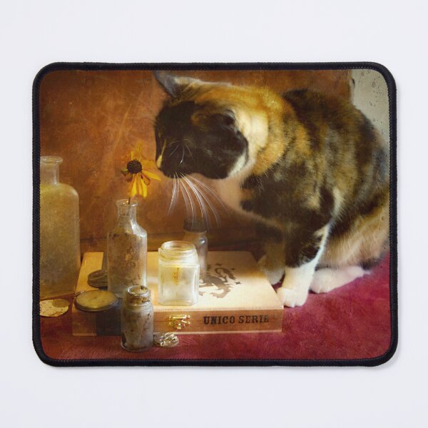 Item preview, Studio Assistant designed and sold by lupecarlos3.