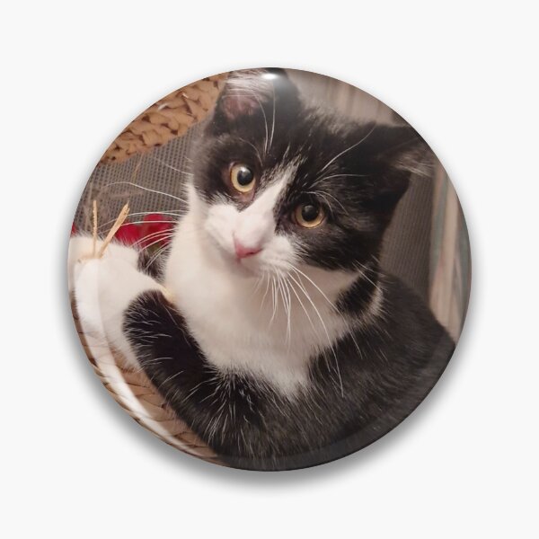 Item preview, Can I help mew? designed and sold by Smab65.