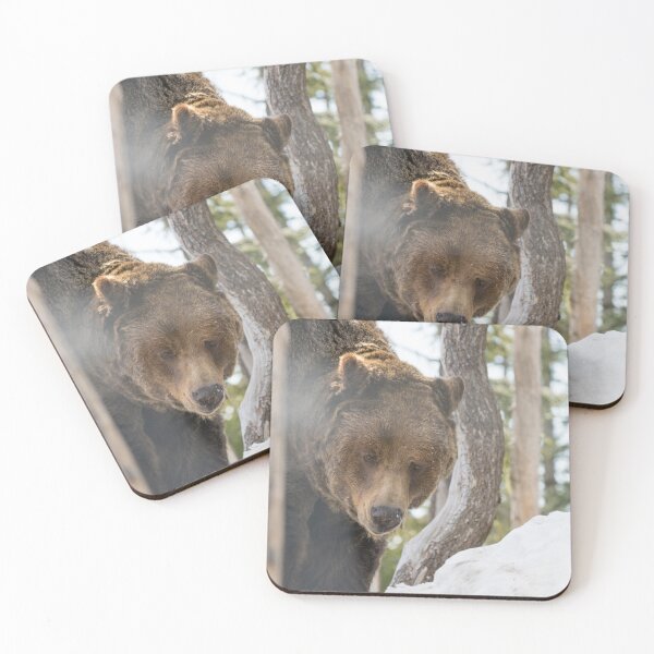 Item preview, Grizzly Bear designed and sold by LaurenTucker.