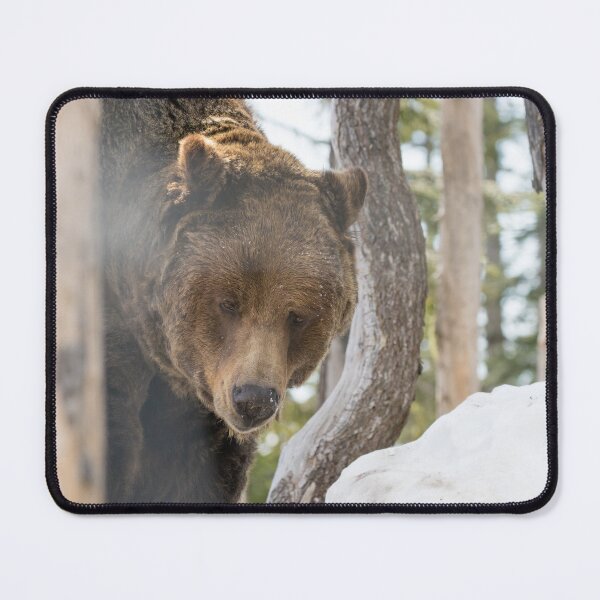 Item preview, Grizzly Bear designed and sold by LaurenTucker.