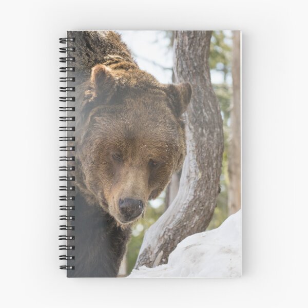 Item preview, Grizzly Bear designed and sold by LaurenTucker.
