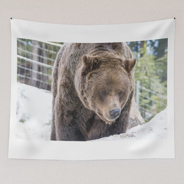 Item preview, Grizzly Bear designed and sold by LaurenTucker.