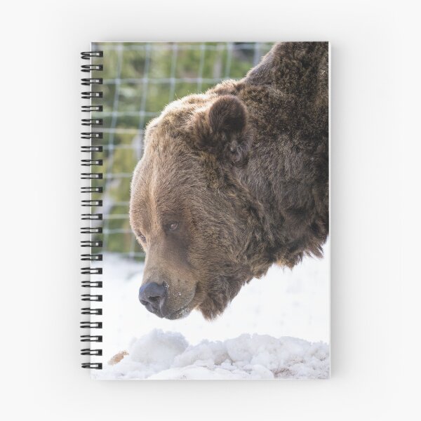 Item preview, Grizzly Bear designed and sold by LaurenTucker.