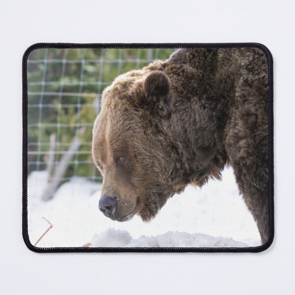 Item preview, Grizzly Bear designed and sold by LaurenTucker.