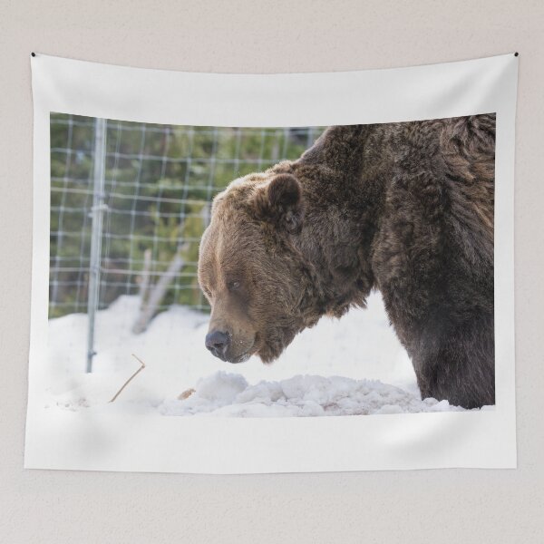 Item preview, Grizzly Bear designed and sold by LaurenTucker.