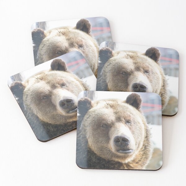 Item preview, Grizzly Bear designed and sold by LaurenTucker.