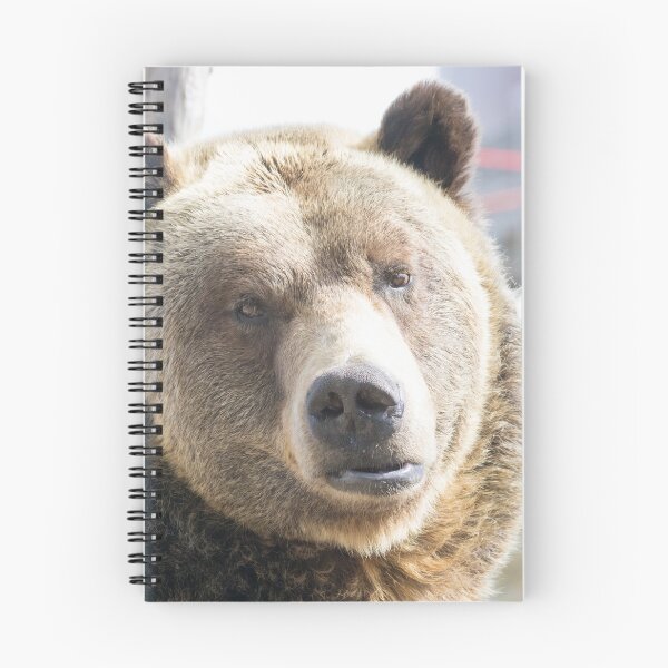 Item preview, Grizzly Bear designed and sold by LaurenTucker.