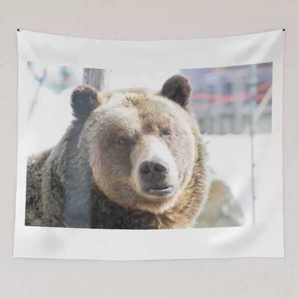 Item preview, Grizzly Bear designed and sold by LaurenTucker.