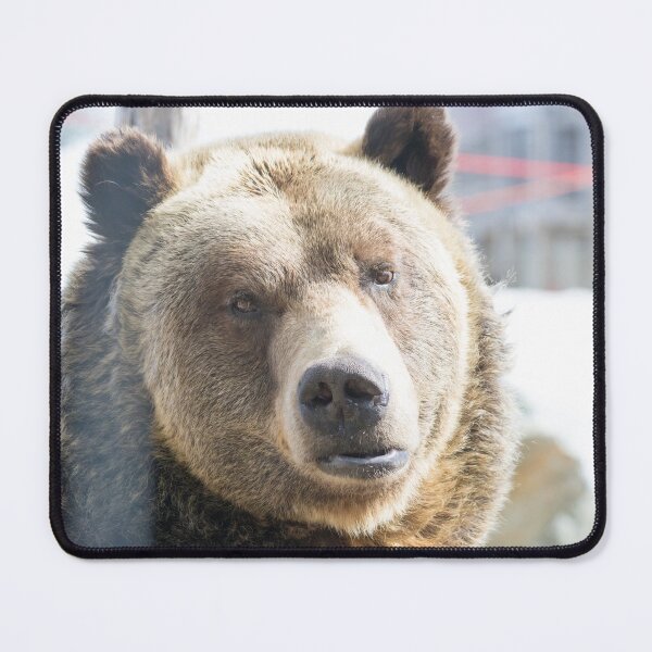 Item preview, Grizzly Bear designed and sold by LaurenTucker.