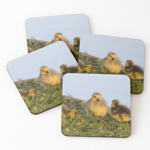 Item preview, Goslings designed and sold by LaurenTucker.