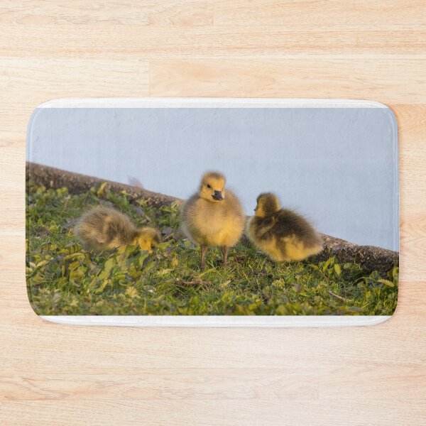 Item preview, Goslings designed and sold by LaurenTucker.