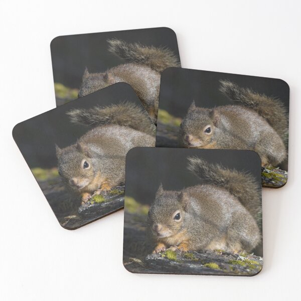 Item preview, Dougal Squirrel designed and sold by LaurenTucker.