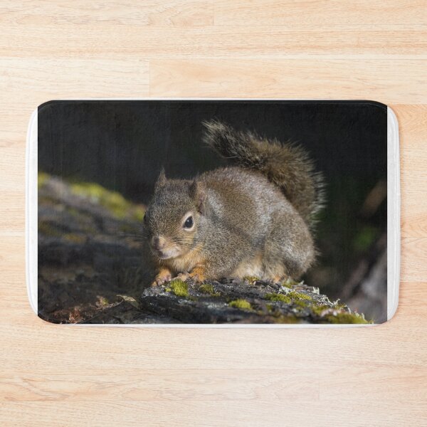 Item preview, Dougal Squirrel designed and sold by LaurenTucker.