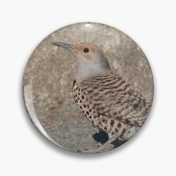 Item preview, Northern Flicker designed and sold by LaurenTucker.