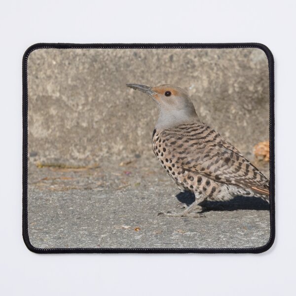 Item preview, Northern Flicker designed and sold by LaurenTucker.