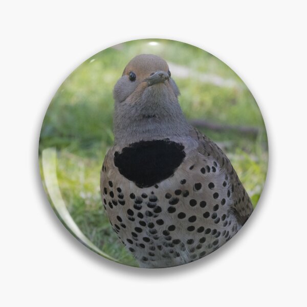Item preview, Northern Flicker designed and sold by LaurenTucker.
