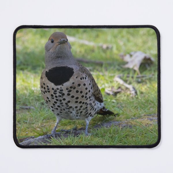 Item preview, Northern Flicker designed and sold by LaurenTucker.