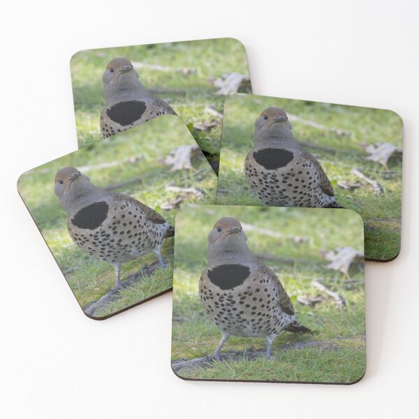 Item preview, Northern Flicker designed and sold by LaurenTucker.