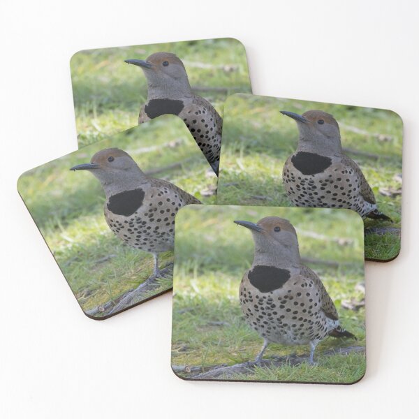Item preview, Northern Flicker designed and sold by LaurenTucker.